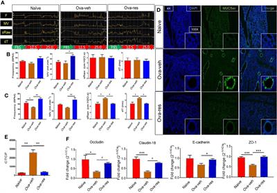 The Ability of Resveratrol to Attenuate Ovalbumin-Mediated Allergic Asthma Is Associated With Changes in Microbiota Involving the Gut-Lung Axis, Enhanced Barrier Function and Decreased Inflammation in the Lungs